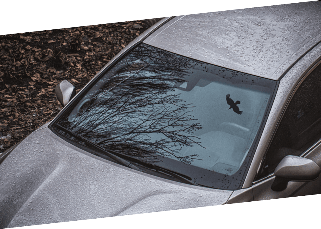 Wind Shield Protection
